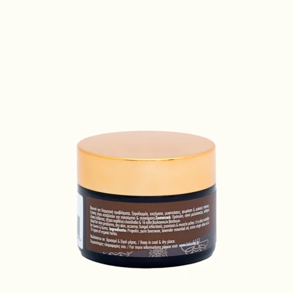 HOLOMON Κηραλοιφή για Δερματικές Παθήσεις 50ml